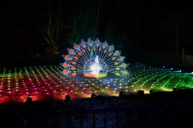 Foto: (c) Robert Gitler