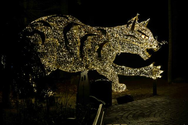 Foto: (c) Robert Gitler