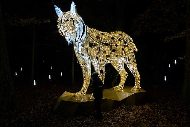 Foto: (c) Robert Gitler