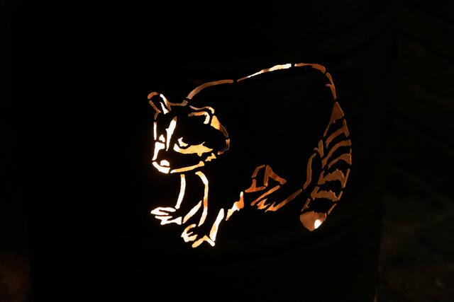 Foto: (c) Robert Gitler