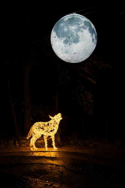 Foto: (c) Robert Gitler