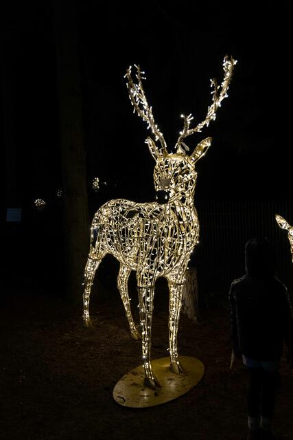 Foto: (c) Robert Gitler