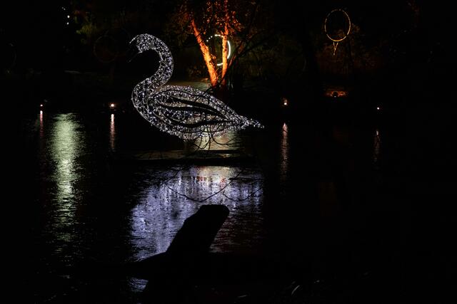 Foto: (c) Robert Gitler