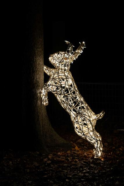 Foto: (c) Robert Gitler