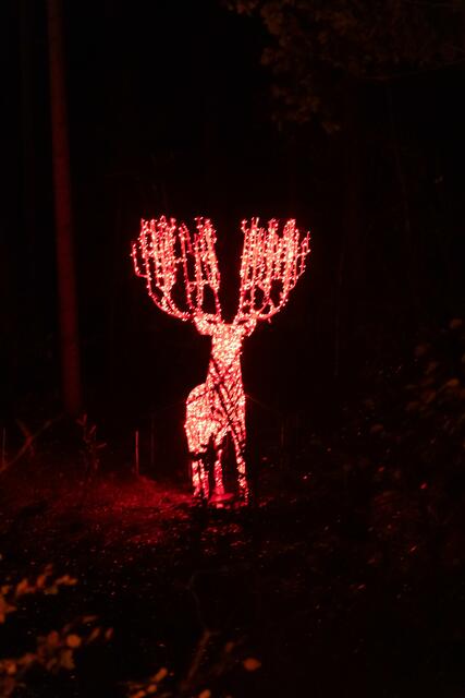 Foto: (c) Robert Gitler