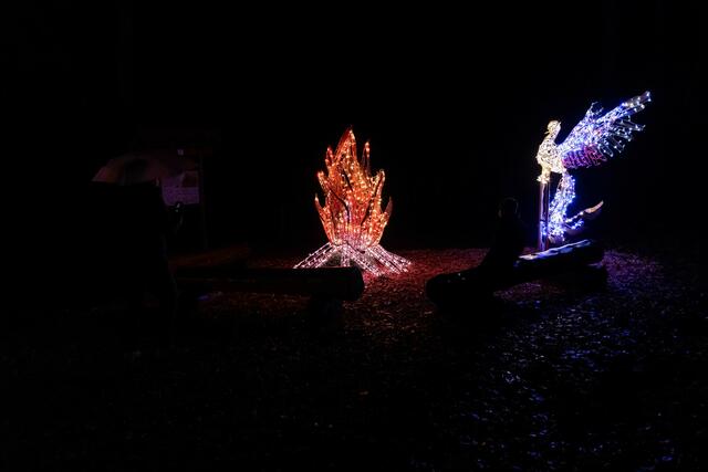 Foto: (c) Robert Gitler