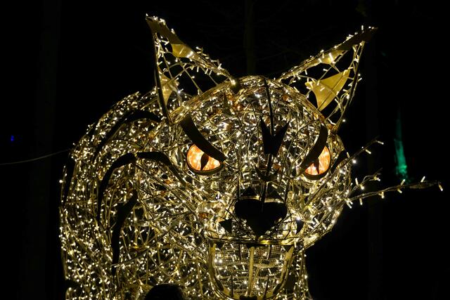 Foto: (c) Robert Gitler