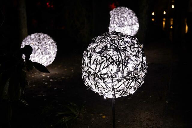 Foto: (c) Robert Gitler