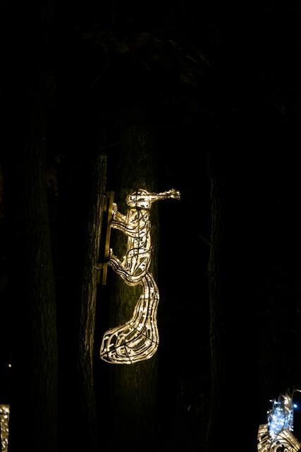 Foto: (c) Robert Gitler