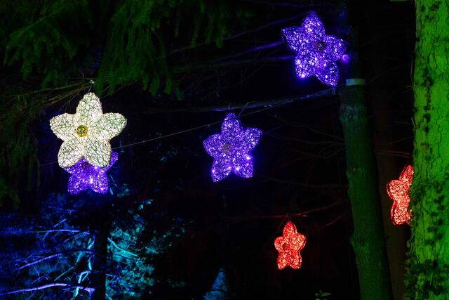 Foto: (c) Robert Gitler