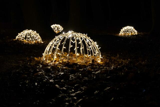 Foto: (c) Robert Gitler