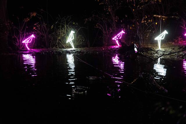 Foto: (c) Robert Gitler