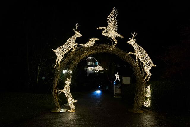 Foto: (c) Robert Gitler