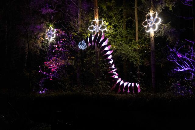 Foto: (c) Robert Gitler