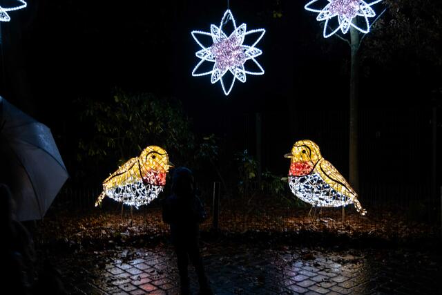 Foto: (c) Robert Gitler