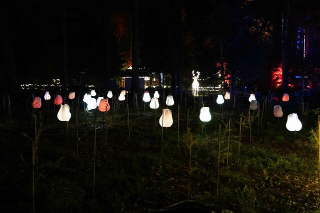 Foto: (c) Robert Gitler