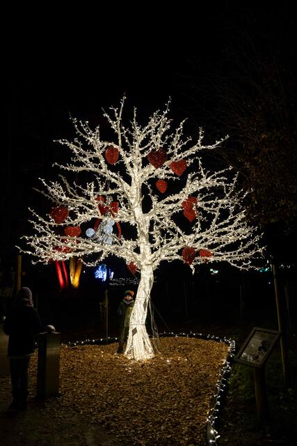 Foto: (c) Robert Gitler