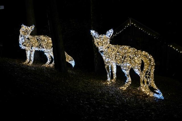 Foto: (c) Robert Gitler