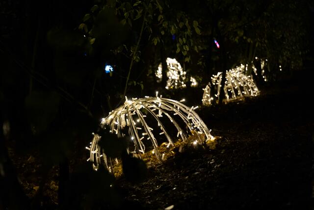 Foto: (c) Robert Gitler