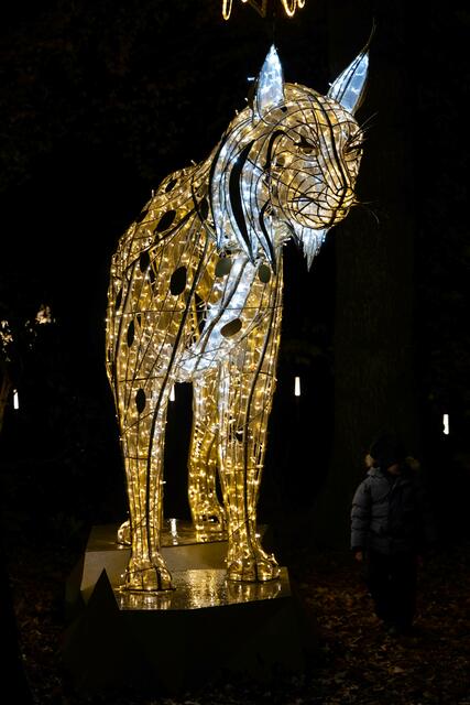 Foto: (c) Robert Gitler