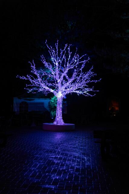 Foto: (c) Robert Gitler