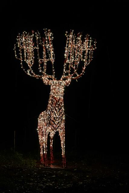 Foto: (c) Robert Gitler