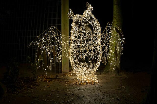 Foto: (c) Robert Gitler