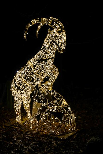 Foto: (c) Robert Gitler