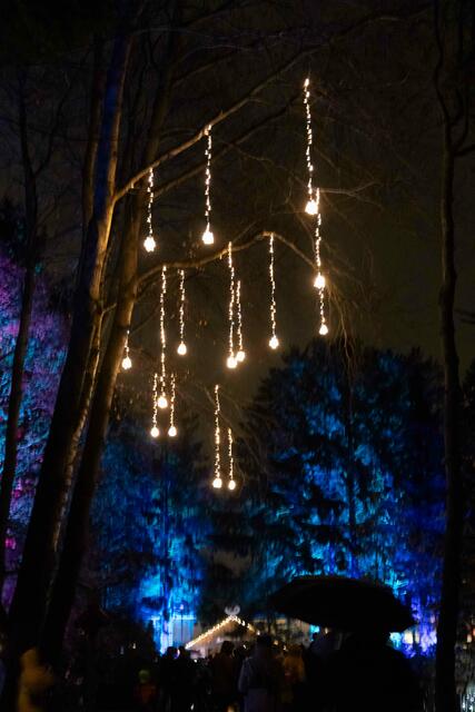 Foto: (c) Robert Gitler