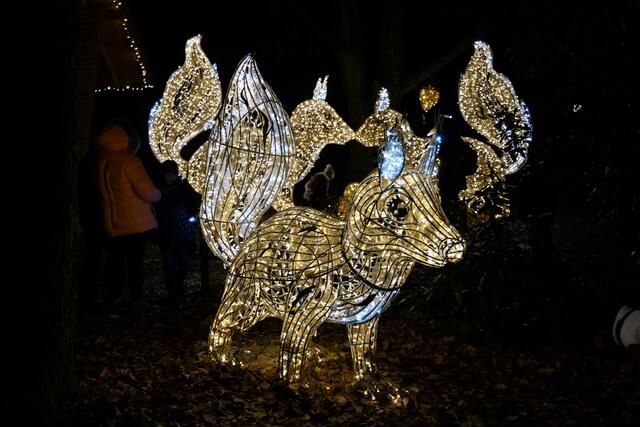 Foto: (c) Robert Gitler