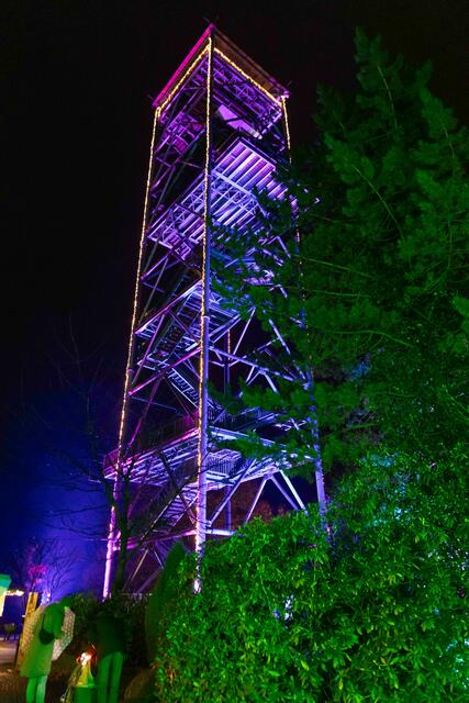 Foto: (c) Robert Gitler