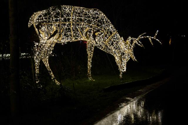 Foto: (c) Robert Gitler