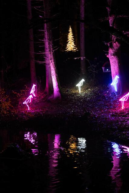 Foto: (c) Robert Gitler