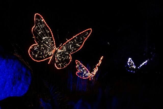 Foto: (c) Robert Gitler