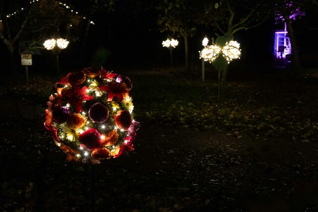 Foto: (c) Robert Gitler