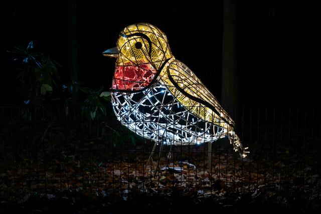 Foto: (c) Robert Gitler