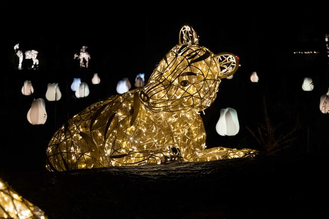 Foto: (c) Robert Gitler