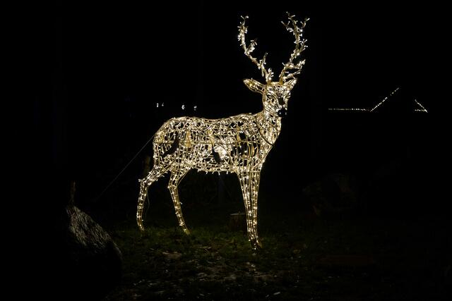 Foto: (c) Robert Gitler