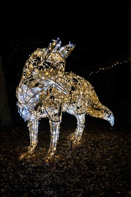 Foto: (c) Robert Gitler