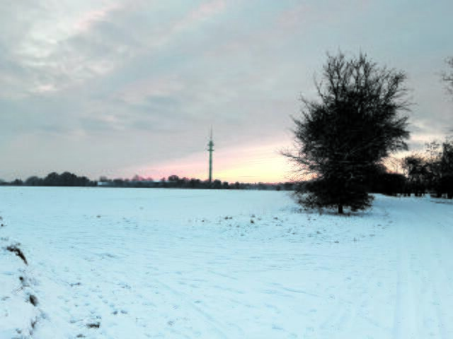 In der Abenddämmerung lässt sich hervorragend spazieren gehen - wie hier in Buchholz | Foto: os