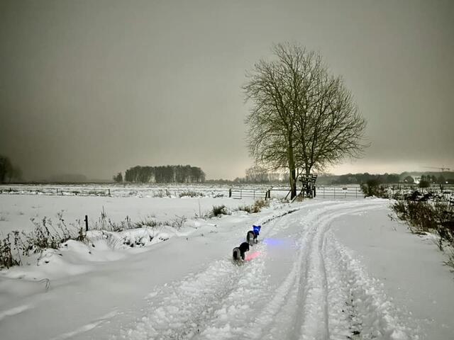 Beim winterlichen Nachtspaziergang | Foto:  Andreas Schlichtmann auf Facebook