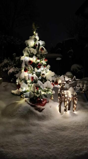 Tannenbaum und Rudolf sind komplett von Schnee bedeckt | Foto: Sabine Nowakowski auf Facebook