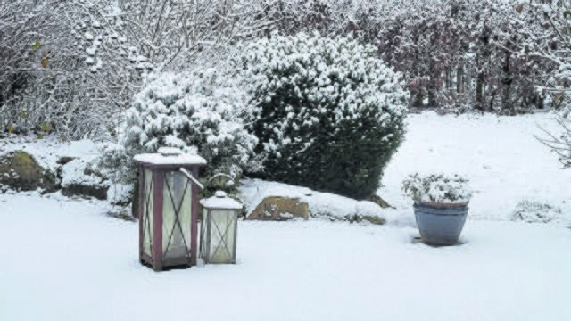 Stilleben auf einer Terrasse in Kutenholz | Foto: wd