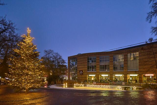Der Buchholzer Emporeteich mit Weihnachtsdeko | Foto: Stadt Buchholz