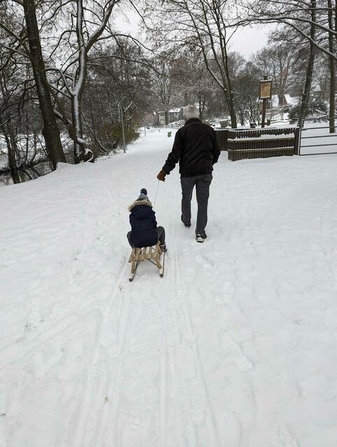 Mit dem Schlitten unterwegs | Foto: Sabina Stanek auf Facebook