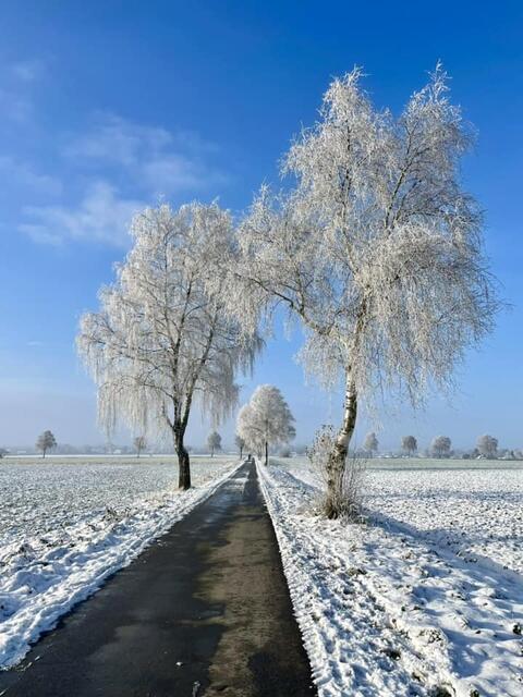 Eingeschneite Landstraße | Foto: Carsten Sielaff auf Facebook