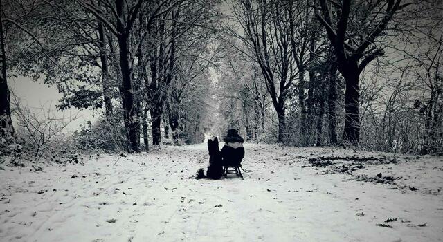 Foto: Christin Bockelmann