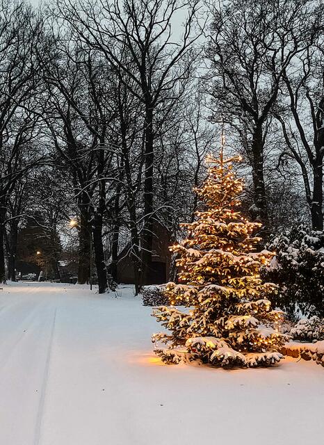 Foto: Melanie Serbian