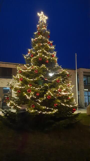 Die große Weihnachtstanne steht direkt vor dem Nenndorfer Rathaus auf dem Platz | Foto: Verein