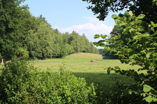 Auf dieser Weide soll ein Baugebiet entstehen  | Foto: pm